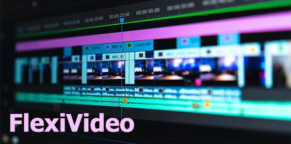 FlexiVideo